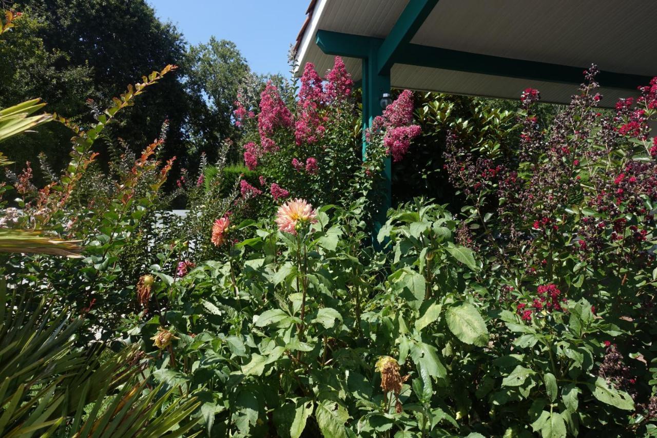 L Annexe Bed & Breakfast Biscarrosse Exterior photo